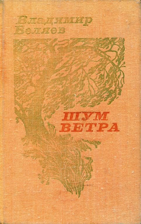 Обложка книги «Шум ветра»