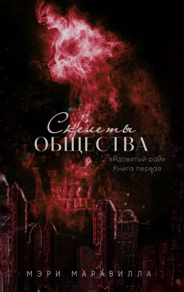 Обложка книги «Скелеты общества»