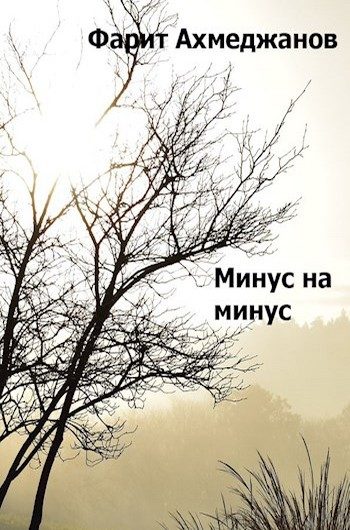 Обложка книги «Минус на минус»