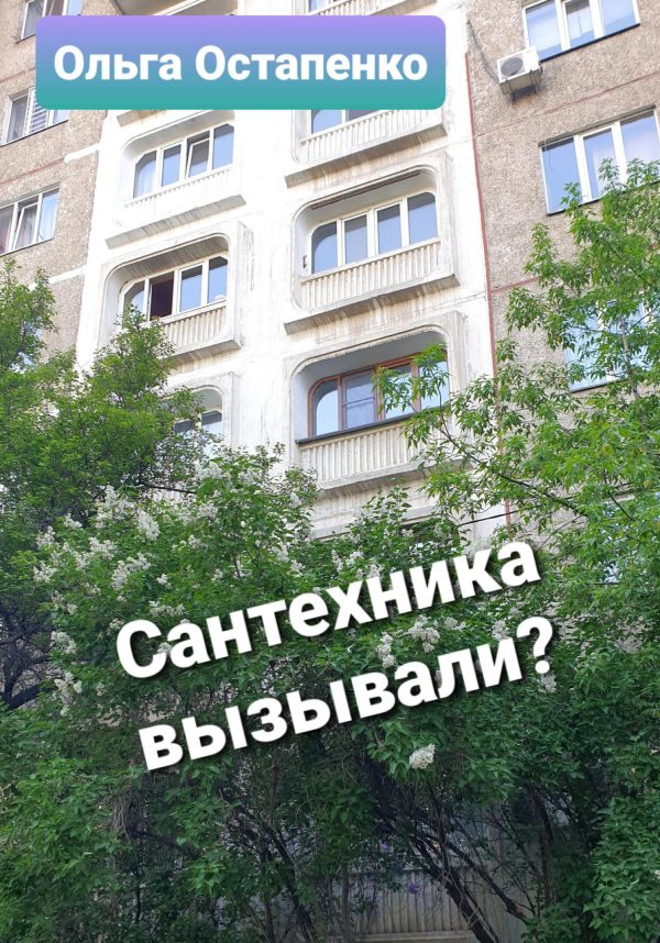 Обложка книги «Сантехника вызывали?»