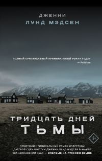 Обложка книги «Тридцать дней тьмы»