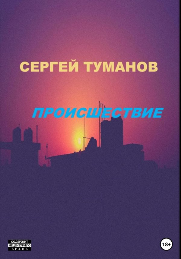 Обложка книги «Происшествие»