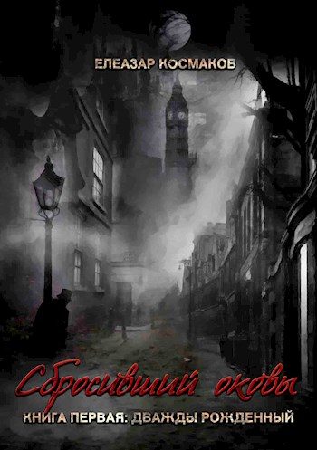 Обложка книги «Дважды рожденный»
