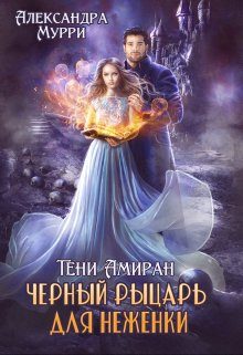 Обложка книги «Тени Амиран. Черный рыцарь для неженки»