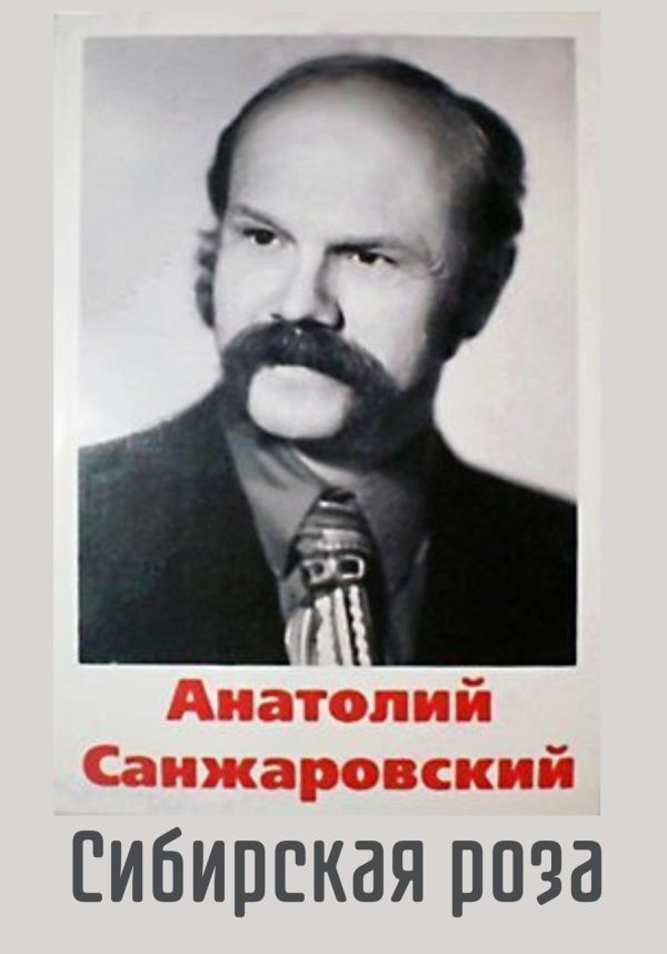 Обложка книги «Сибирская роза»