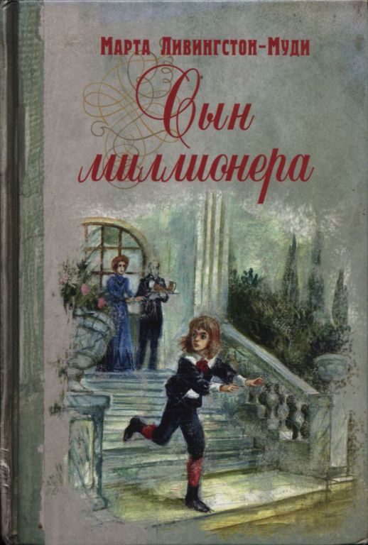 Обложка книги «Сын миллионера»