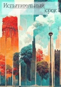 Обложка книги «Испытательный срок»