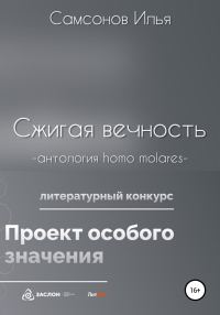 Обложка книги «Сжигая вечность»