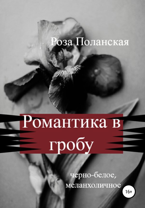 Обложка книги «Романтика в гробу»