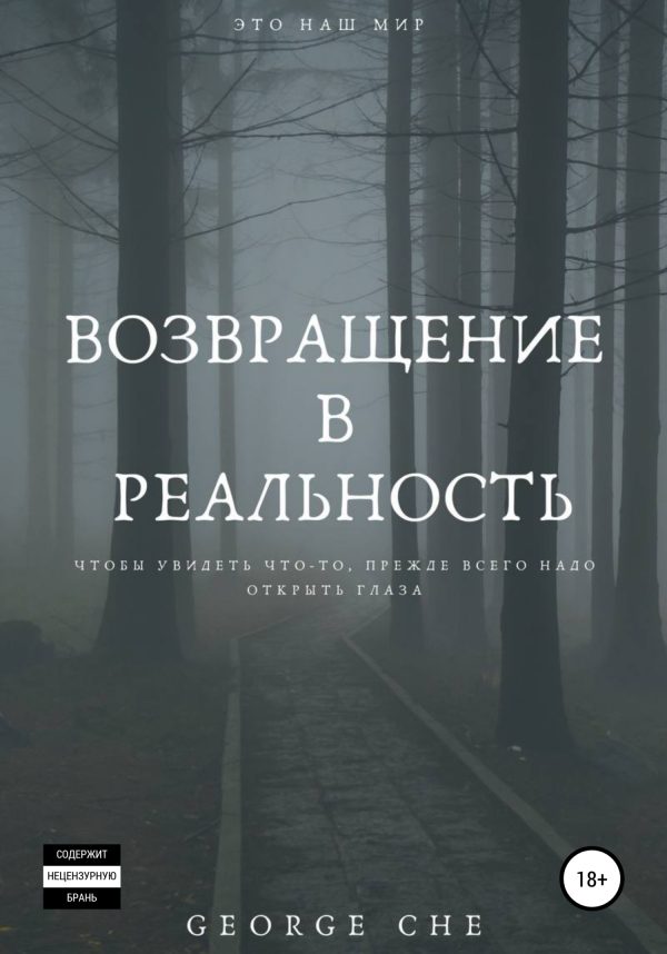 Обложка книги «Возвращение в реальность»