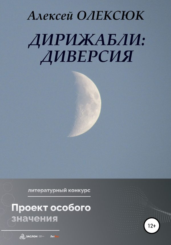 Обложка книги «Дирижабли: Диверсия»