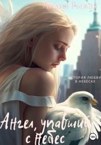 Обложка книги «Ангел, упавший с небес»
