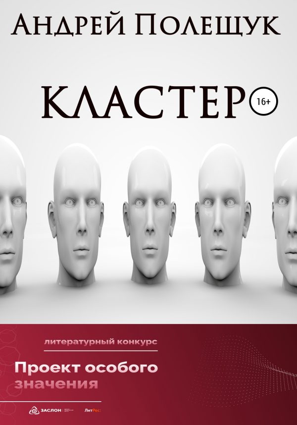 Обложка книги «Кластер»