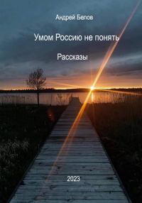 Обложка книги «Умом Россию не понять. Рассказы»