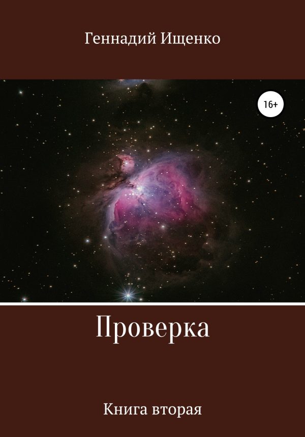 Обложка книги «Проверка. Книга вторая»