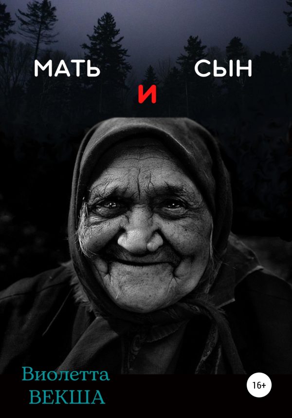 Обложка книги «Мать и сын»