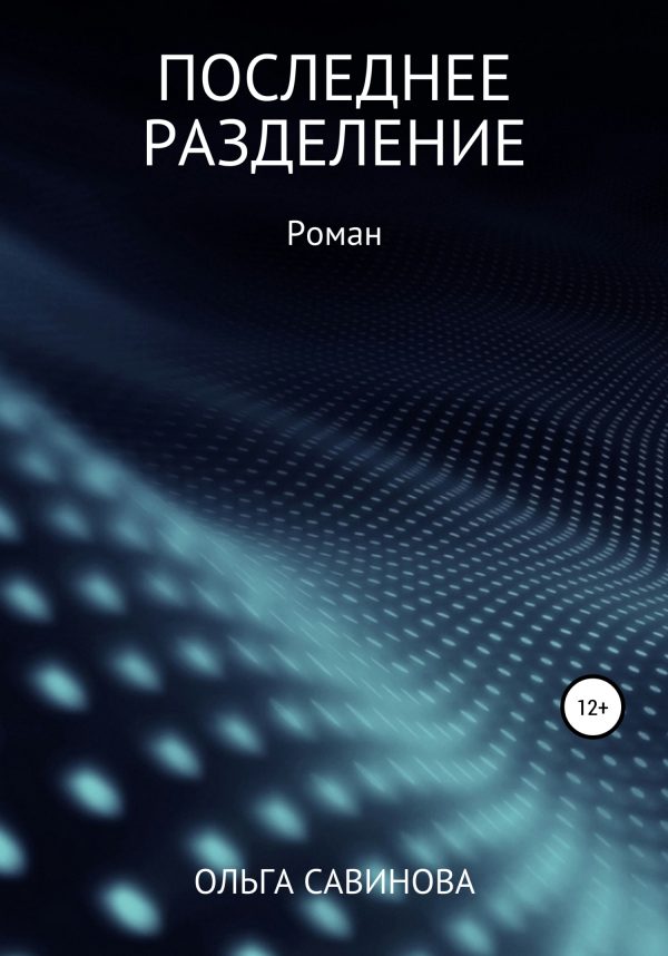 Обложка книги «Последнее разделение»