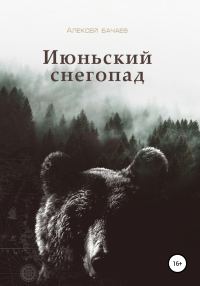Обложка книги «Июльский снегопад»