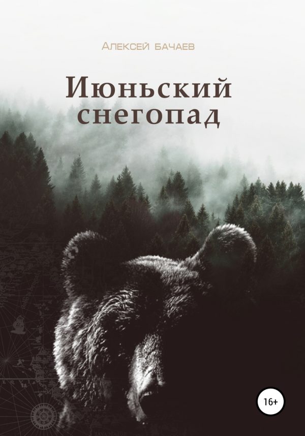 Обложка книги «Июльский снегопад»