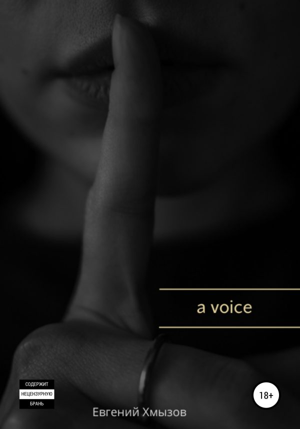 Обложка книги «a voice»