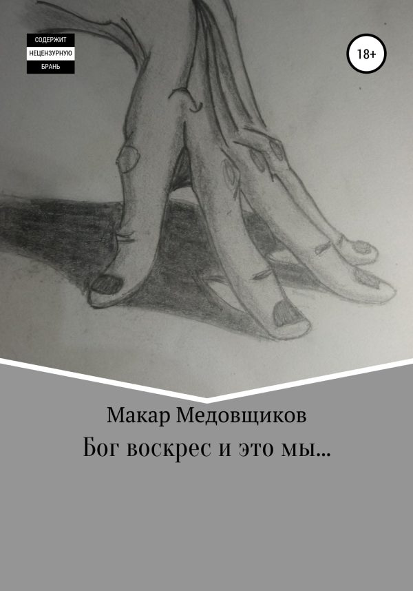 Обложка книги «Бог воскрес и это мы…»