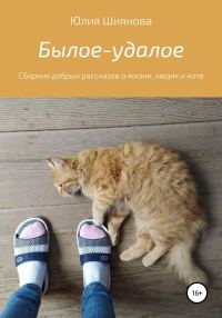 Обложка книги «Былое-удалое. Сборник добрых рассказов о жизни, людях и коте»