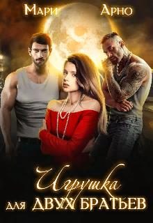 Обложка книги «Игрушка для двух братьев»