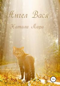 Обложка книги «Ангел Вася»