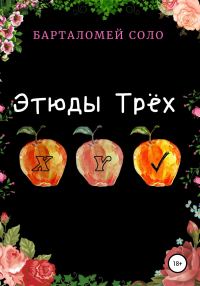 Обложка книги «Этюды Трех»