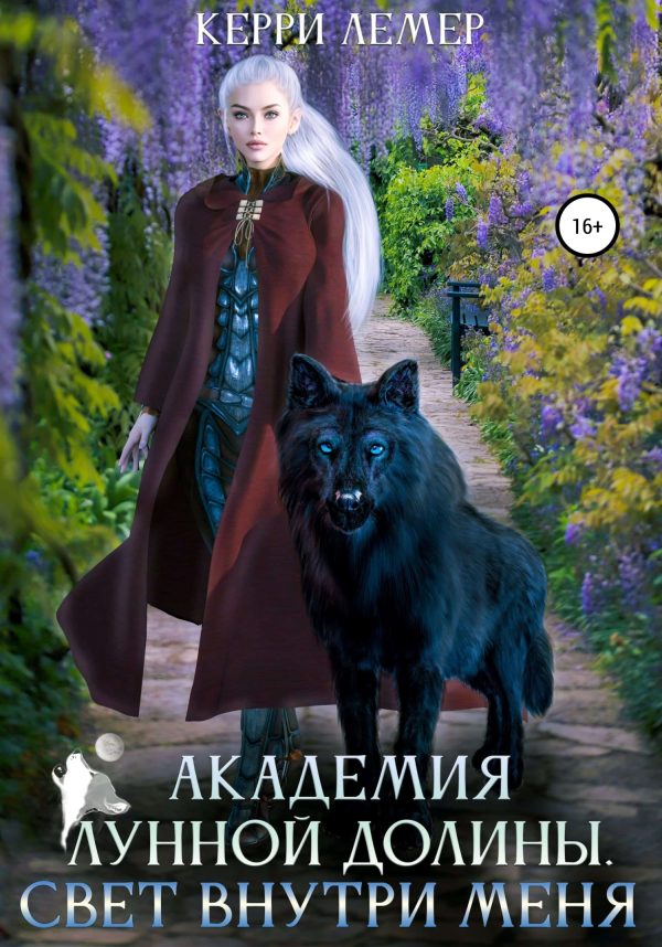 Обложка книги «Академия Лунной долины. Свет внутри меня»