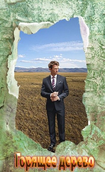 Обложка книги «Горящее дерево»