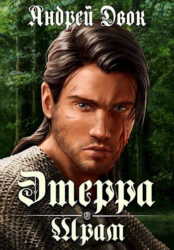 Обложка книги «Шрам»