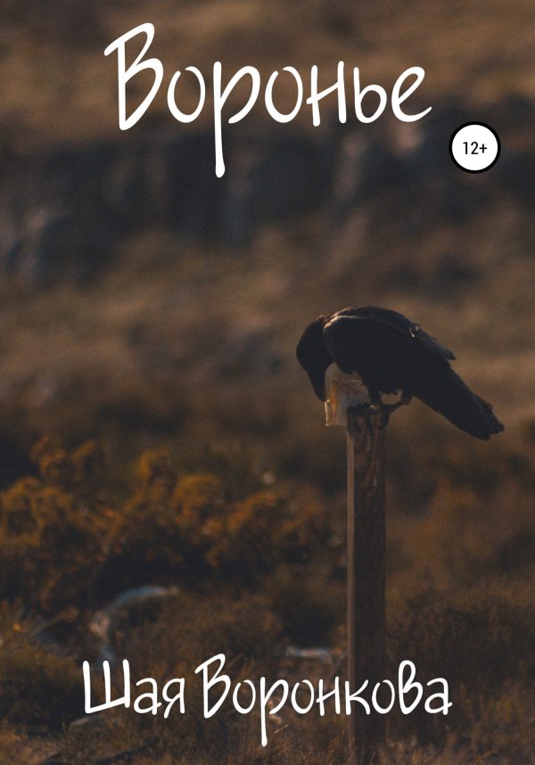 Обложка книги «Воронье»
