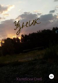 Обложка книги «Узник»