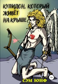 Обложка книги «Купидон, который живёт на крыше»