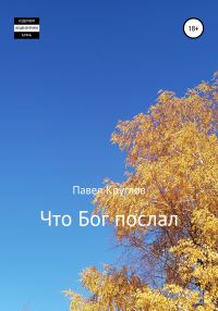 Обложка книги «Что Бог послал»