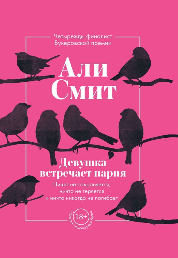 Обложка книги «Девушка встречает парня»