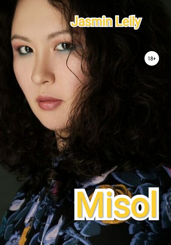 Обложка книги «Мisol»