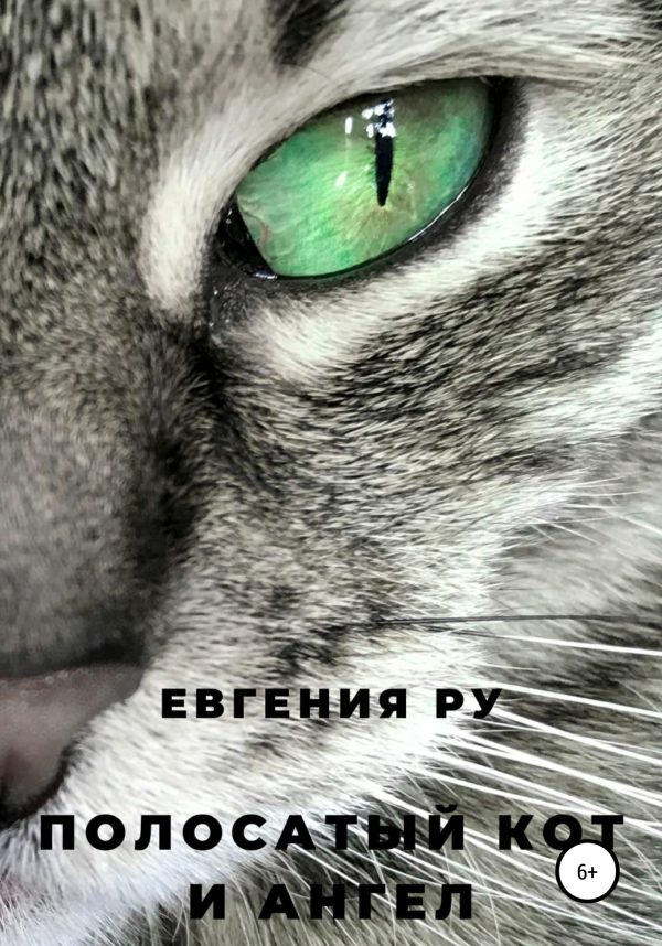 Обложка книги «Полосатый кот и ангел»