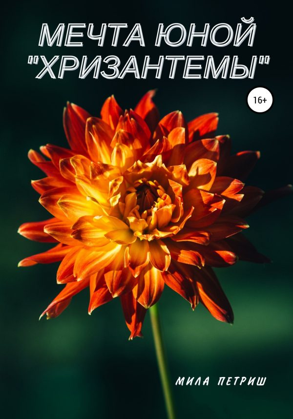 Обложка книги «Мечта юной «Хризантемы»»