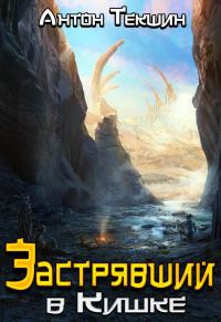 Обложка книги «Застрявший в Кишке»