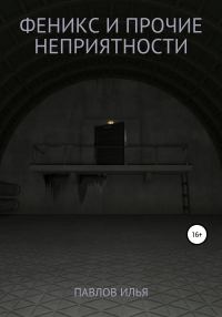 Обложка книги «Феникс и прочие неприятности»