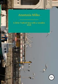 Обложка книги «A little Turkish boy with a wooden stick»