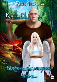 Обложка книги «Встреча, или Летунец мне в… Книга 3»