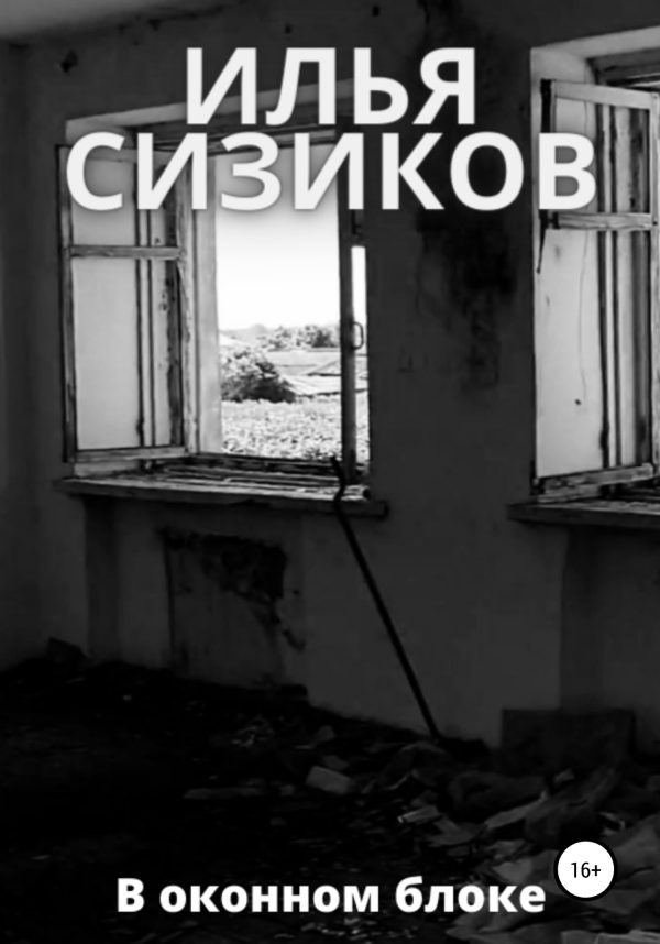 Обложка книги «В оконном блоке»