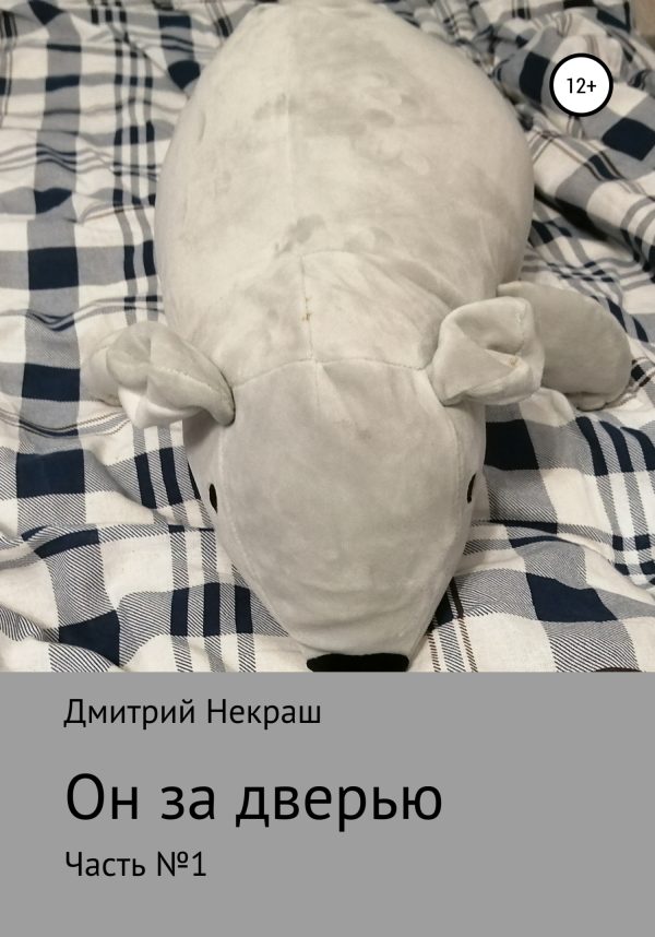 Обложка книги «Он за дверью»