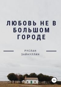 Обложка книги «Любовь не в большом городе»