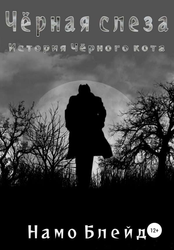 Обложка книги «Чёрная слеза. История чёрного кота»