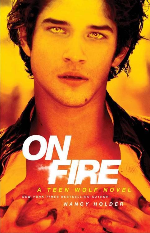 Обложка книги «On Fire»