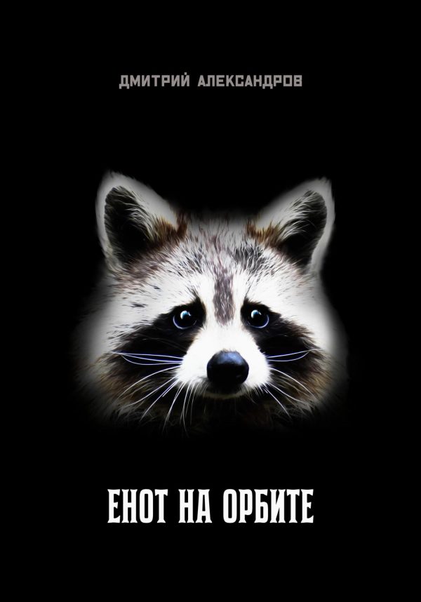 Обложка книги «Енот на орбите»